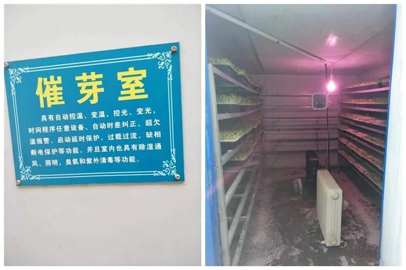 蔬菜种植技术网_蔬菜种植网站下载安装_蔬菜种植技术大全app