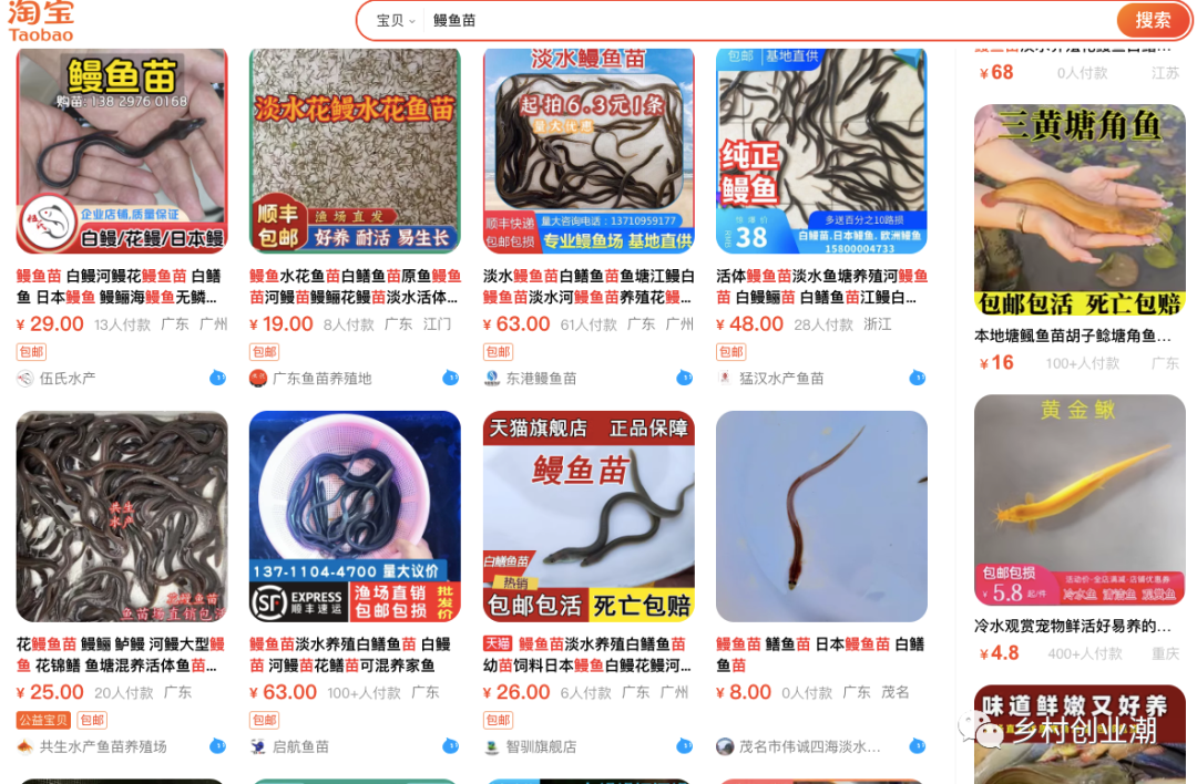 农村种什么养殖致富_农村致富养殖项目大全_种植养殖致富