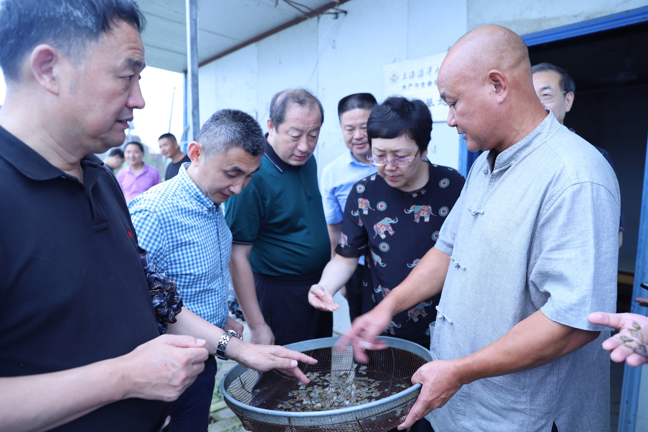 贝壳用淡水养会不会很快死_贝壳淡水养殖技术视频_淡水贝壳养殖技术