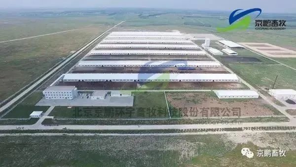 辽宁肉牛养殖补贴政策_辽宁养殖肉牛犊技术培训_辽宁肉牛犊养殖技术