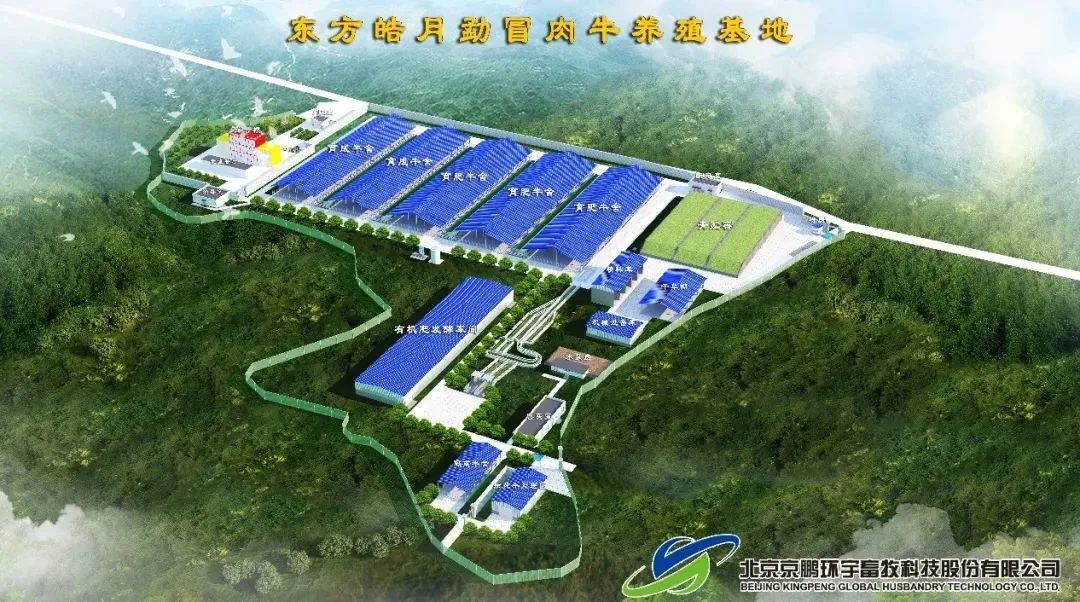 辽宁肉牛犊养殖技术_辽宁养殖肉牛犊技术培训_辽宁肉牛养殖补贴政策