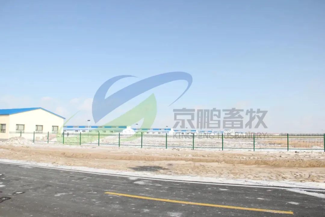 辽宁肉牛养殖补贴政策_辽宁养殖肉牛犊技术培训_辽宁肉牛犊养殖技术