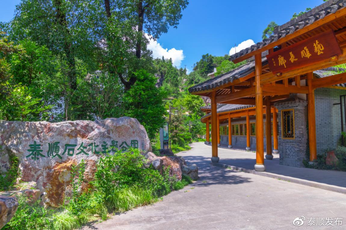 莪术种植成本与利润_莪术种植致富故事_莪术种植前景