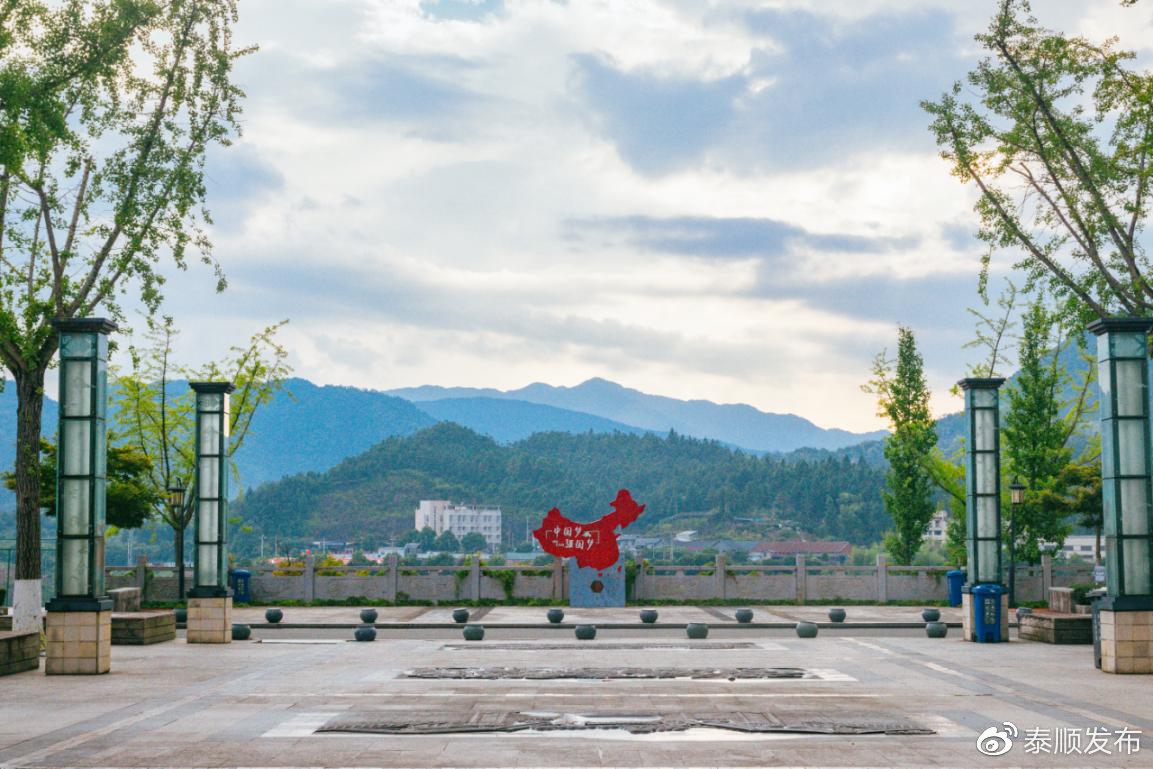 莪术种植前景_莪术种植致富故事_莪术种植成本与利润