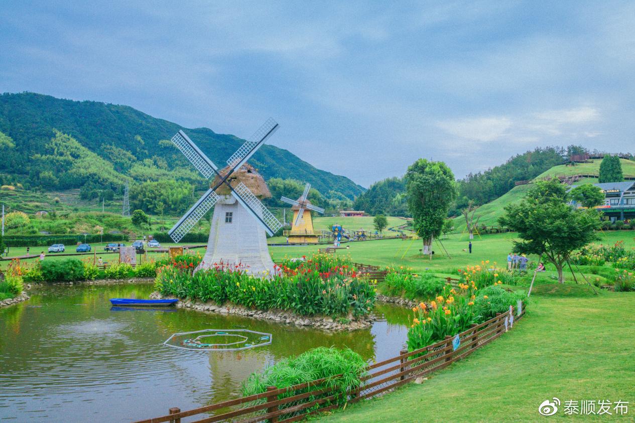 莪术种植前景_莪术种植致富故事_莪术种植成本与利润