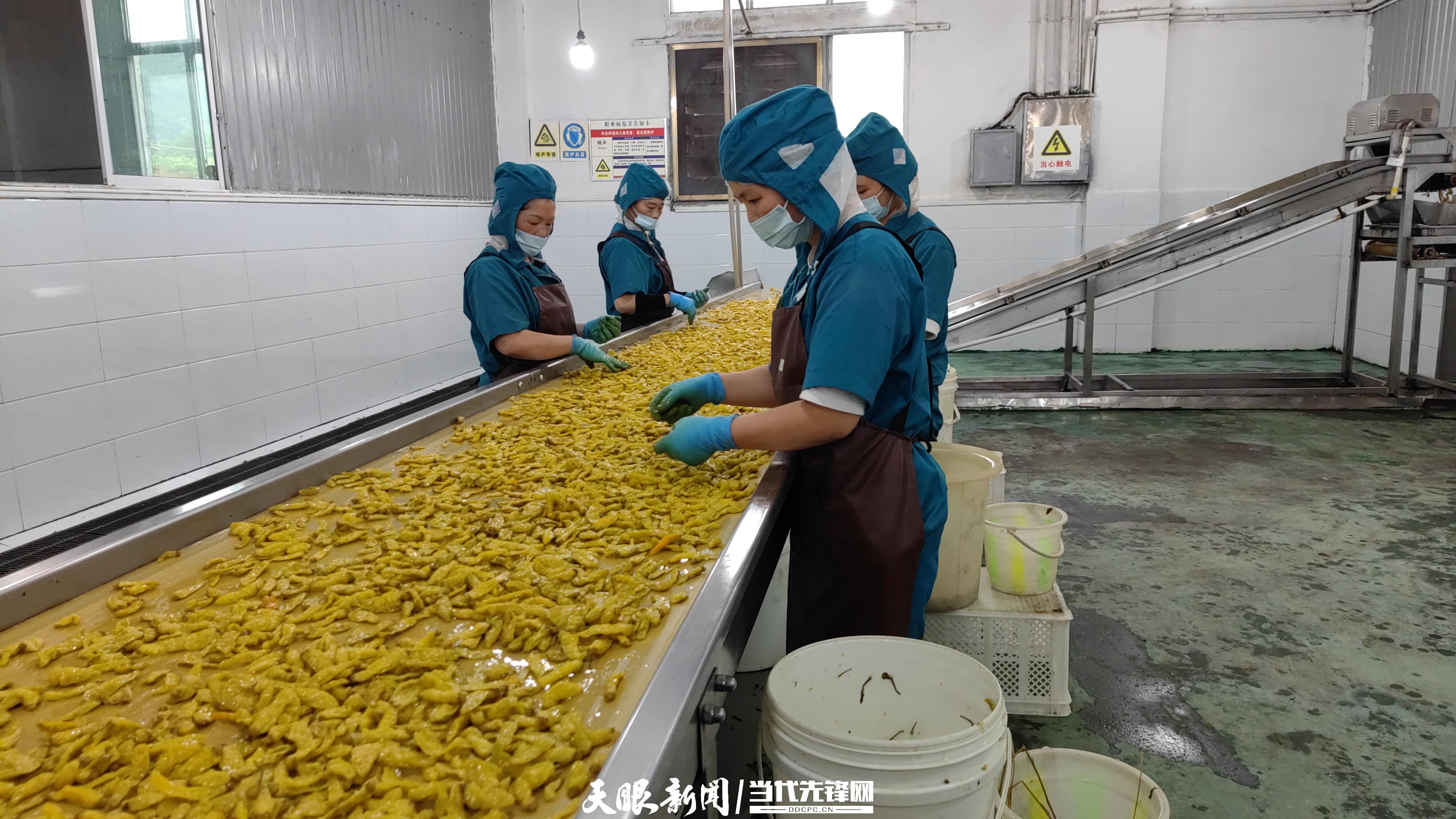 【高质量发展蹲点调研采访】遵义湄潭：“链”上发力 酱腌菜铺开致富路