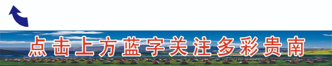 黄牛养殖致富视频_视频致富养殖黄牛骗局_视频致富养殖黄牛骗局揭秘