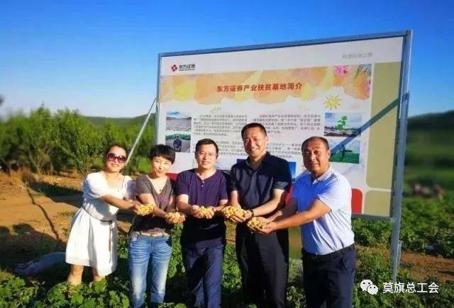 种植致富新项目_订单式种植助力百姓致富_种植致富案例