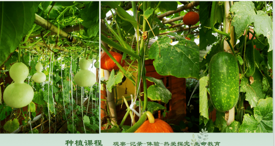 均衡优质经验材料有哪些_均衡精炼_优质均衡经验材料