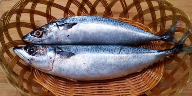 淡水养殖技术鲳鱼视频_淡水鲳鱼养殖技术_淡水鲳鱼养殖对水质要求高不