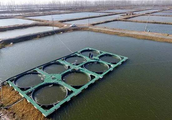 池塘浮式圆槽流水养殖系统设计与构建研究