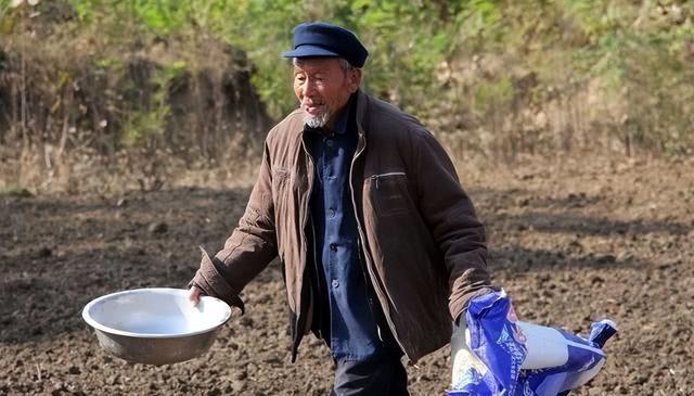 农村致富门路种植_致富种植农村门路视频_致富种植农村门路图片