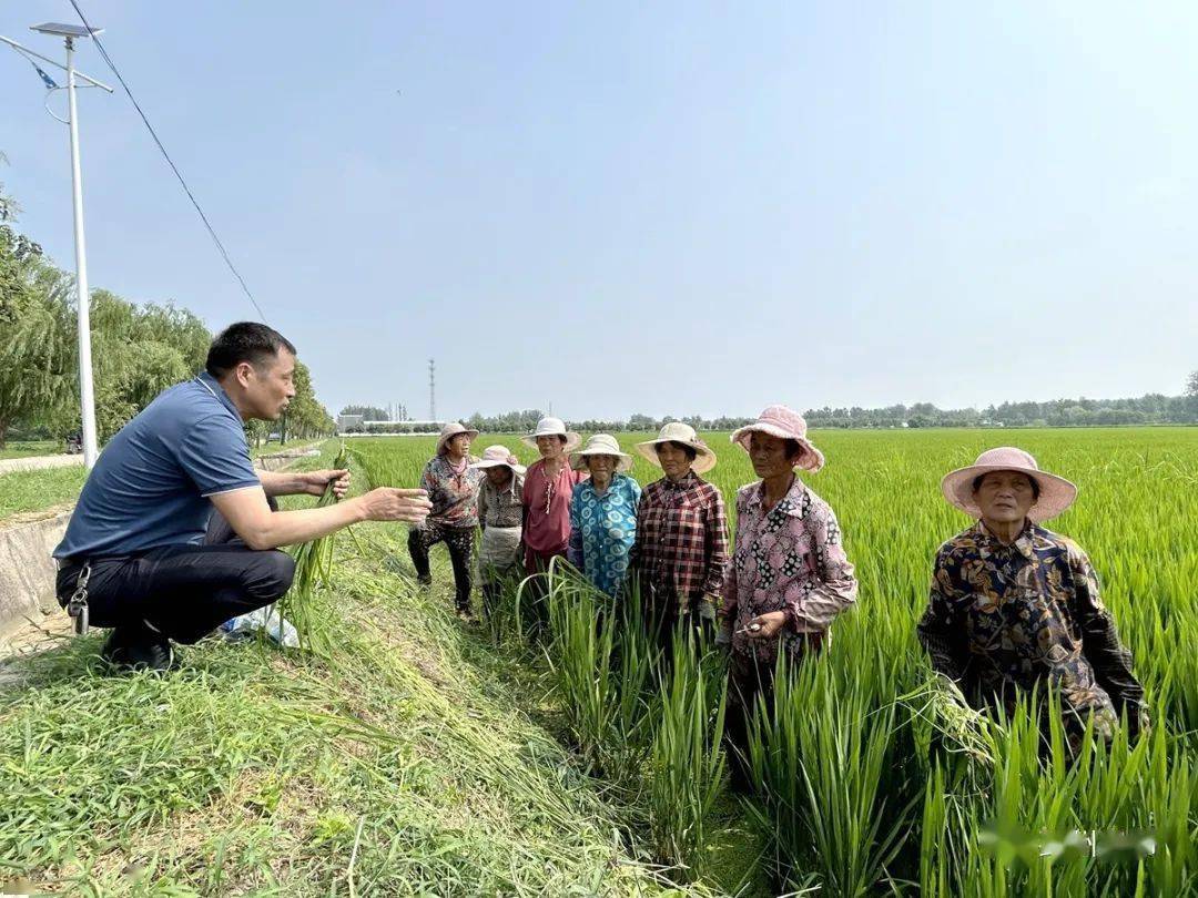 致富经2020年种植全集_致富致富_致富经结杆致富