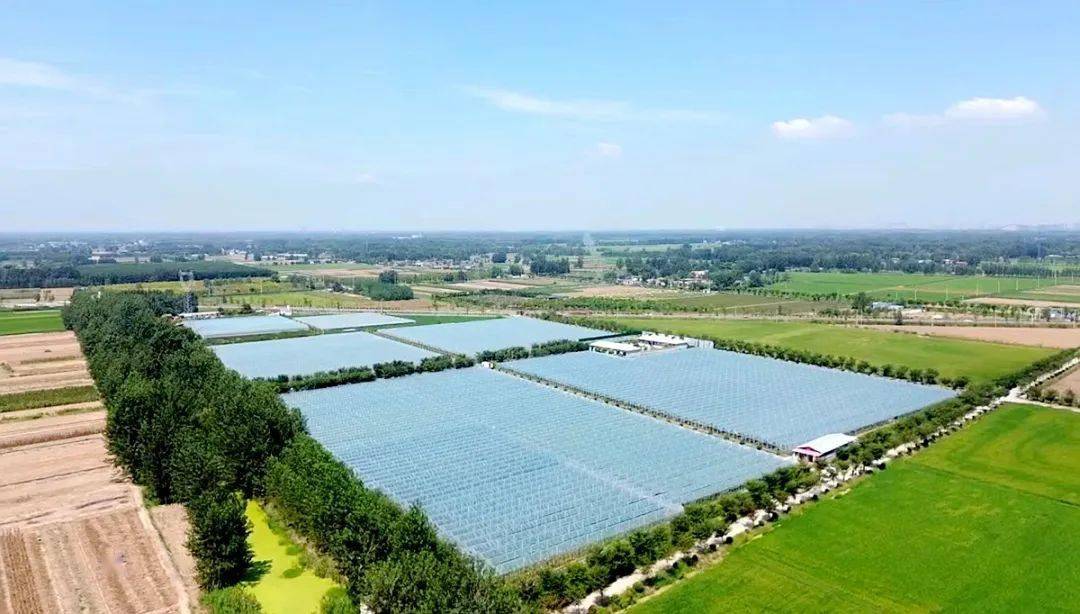 致富经2020年种植全集_致富致富_致富经结杆致富