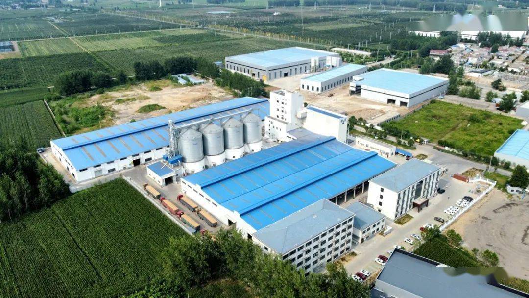 致富经2020年种植全集_致富经结杆致富_致富致富