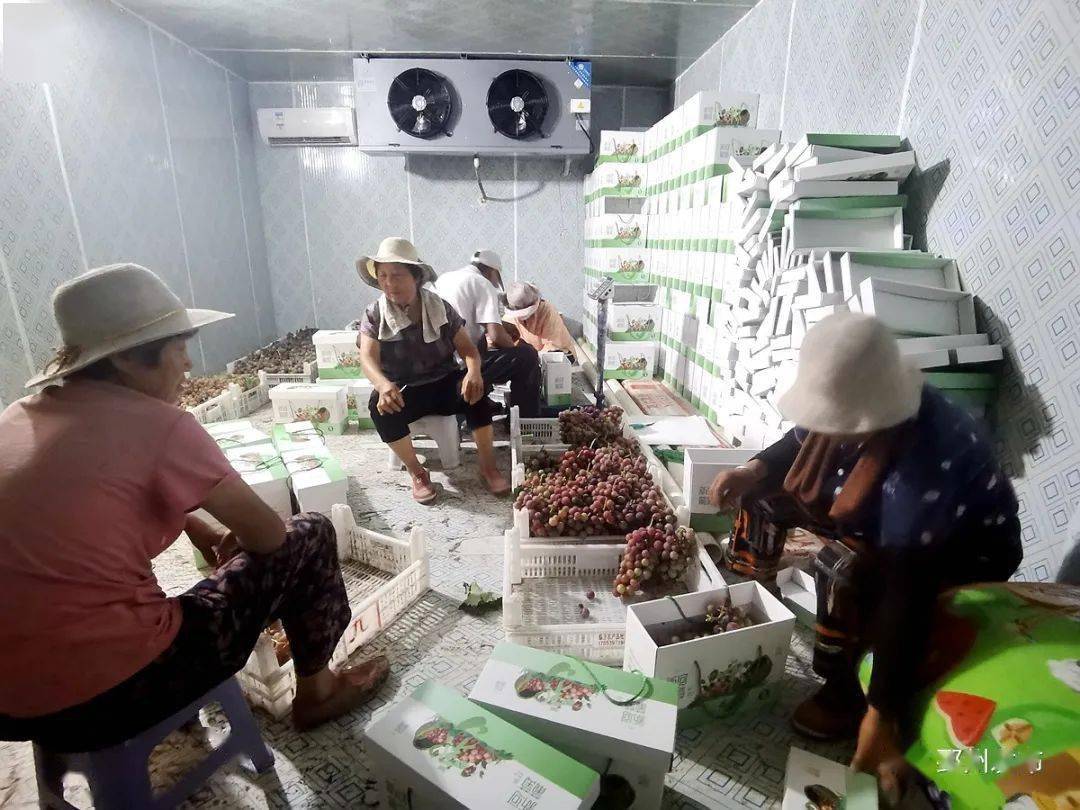 致富经2020年种植全集_致富经结杆致富_致富致富