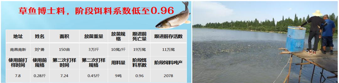养小草鱼好方法_小草养殖鱼技术与管理_小草鱼怎么养殖技术