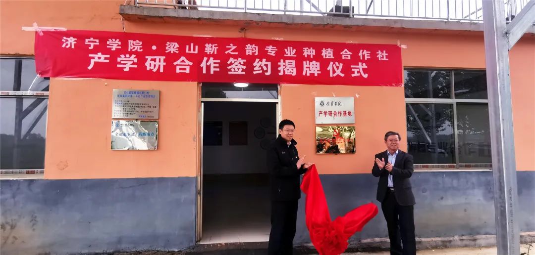 养殖鲁西黄牛赚钱吗_鲁西黄牛养殖视频农广天地_致富经鲁西黄牛养殖