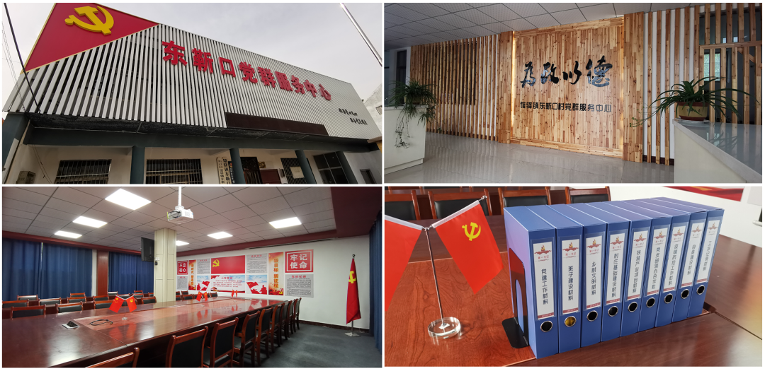 鲁西黄牛养殖视频农广天地_致富经鲁西黄牛养殖_养殖鲁西黄牛赚钱吗