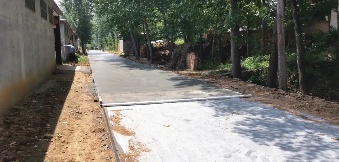 鲁西黄牛养殖视频农广天地_致富经鲁西黄牛养殖_养殖鲁西黄牛赚钱吗