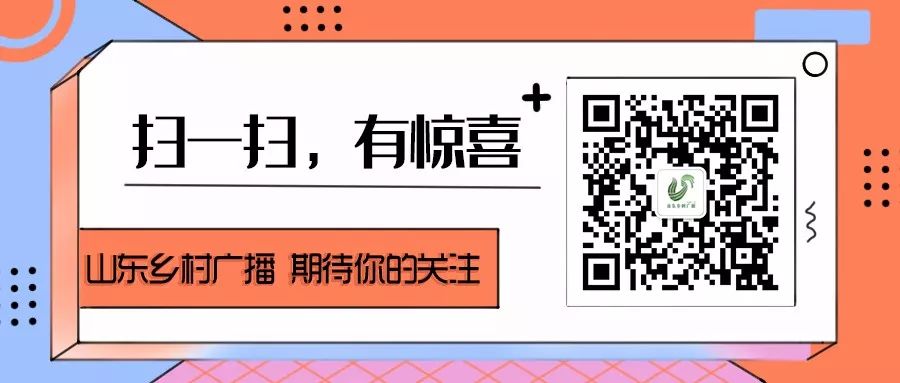 养殖鲁西黄牛赚钱吗_鲁西黄牛养殖视频农广天地_致富经鲁西黄牛养殖