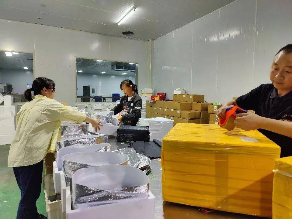 池州鳜鱼养殖基地_安徽鳜鱼养殖场_池州鳜鱼养殖致富