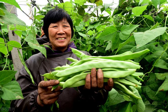 菏泽发酵鸡粪_山东鸡粪有机肥厂家_山东发酵鸡粪致富经