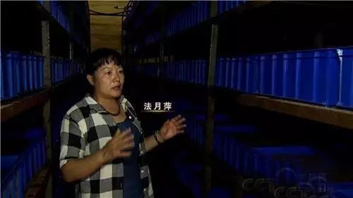 致富丨女博士为何放弃百万年薪 跑到农村养蚯蚓？