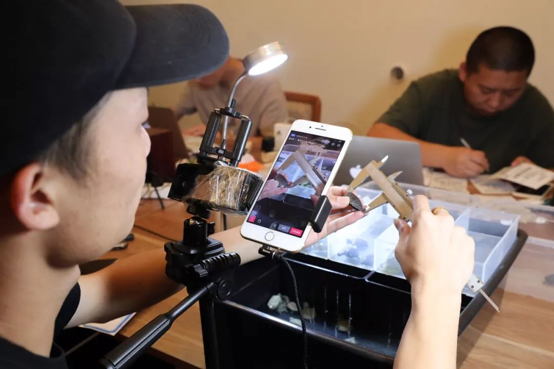 致富养殖草龟视频_致富养殖草龟图片_致富经养殖草龟
