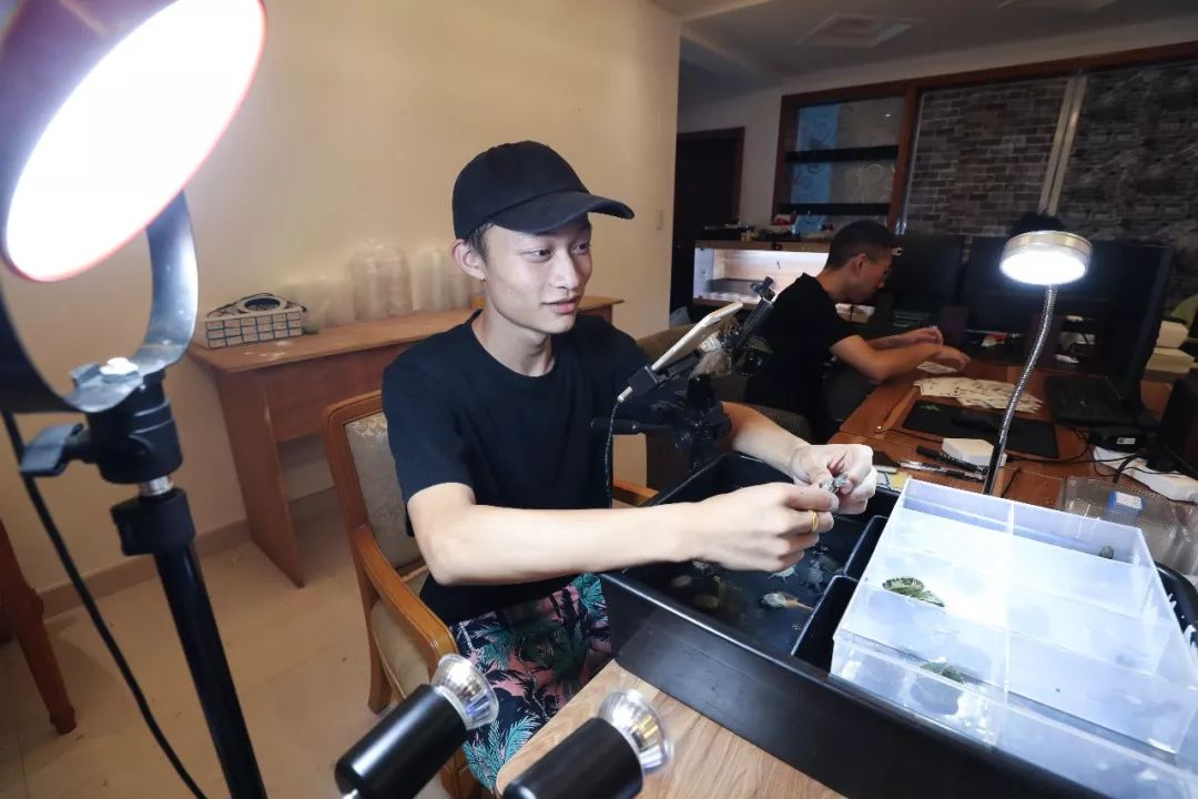 致富养殖草龟图片_致富经养殖草龟_致富养殖草龟视频