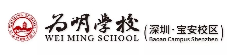 在感悟中成长，在总结中前行