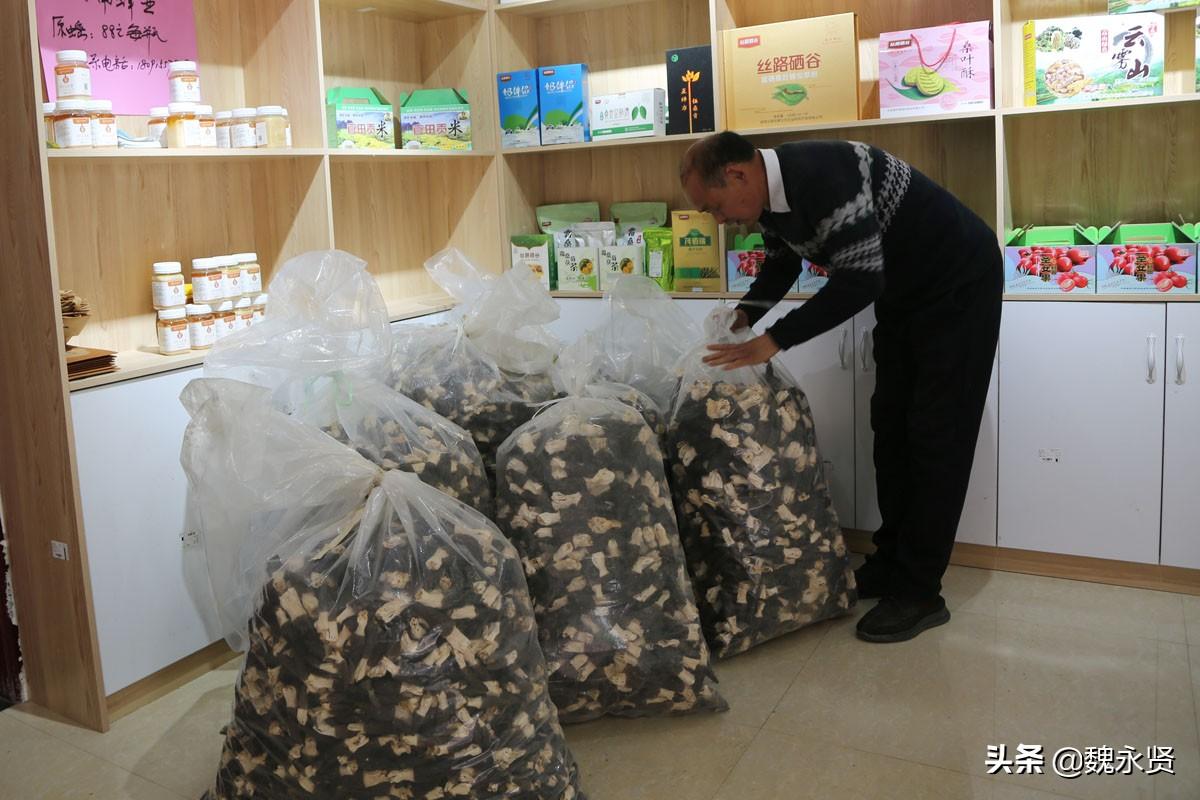 花生致富陕西种植视频_陕西花生种植基地_陕西种植花生致富
