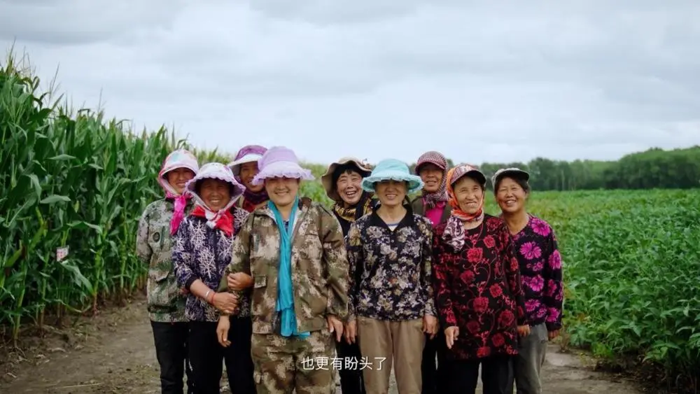 齐齐哈尔适合种植草药吗_齐齐哈尔农村致富种植_齐齐哈尔种树