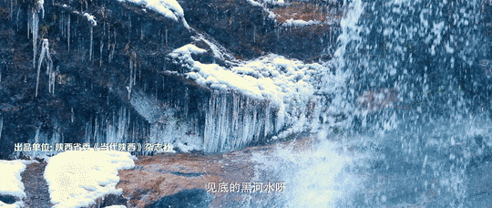 种羊肚菌四川致富经_四川种植羊肚菌的微信群_四川羊肚菌种植基地