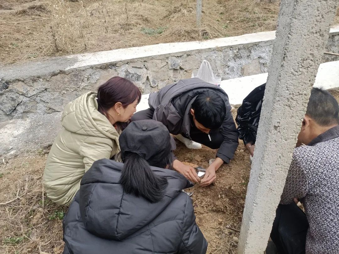 种树致富全部视频_种植致富业_致富经种植树