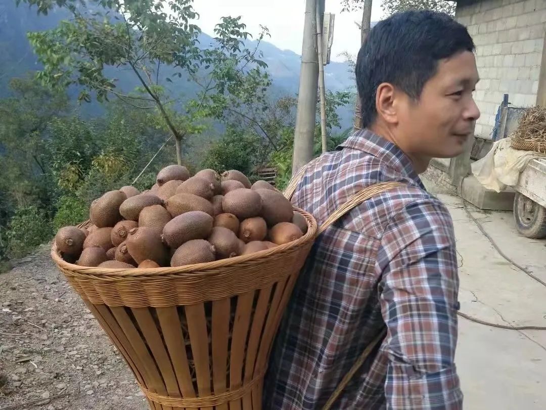 种树致富全部视频_致富经种植树_种植致富业