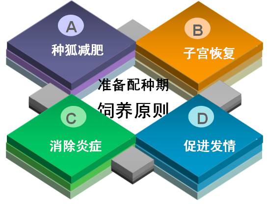 狐狸养殖技术有哪些种类_狐狸养殖有哪些技术_狐狸养殖技术有哪些