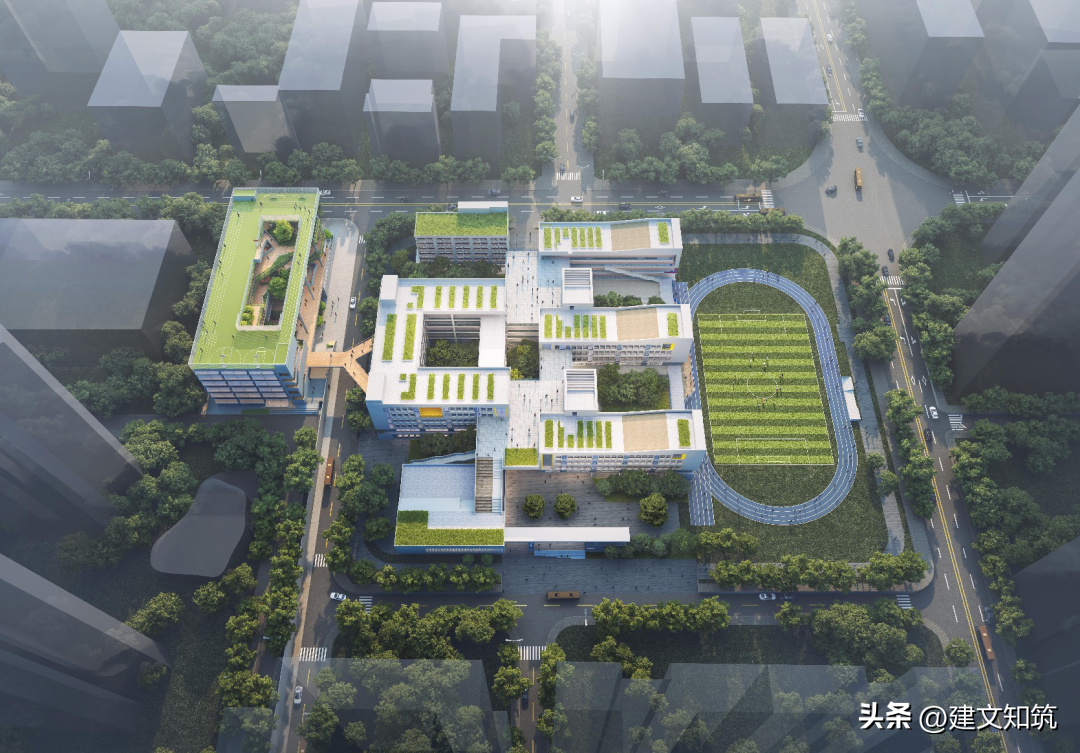 创建新优质学校的经验_新优质学校创建心得体会_创建新优质学校经验介绍