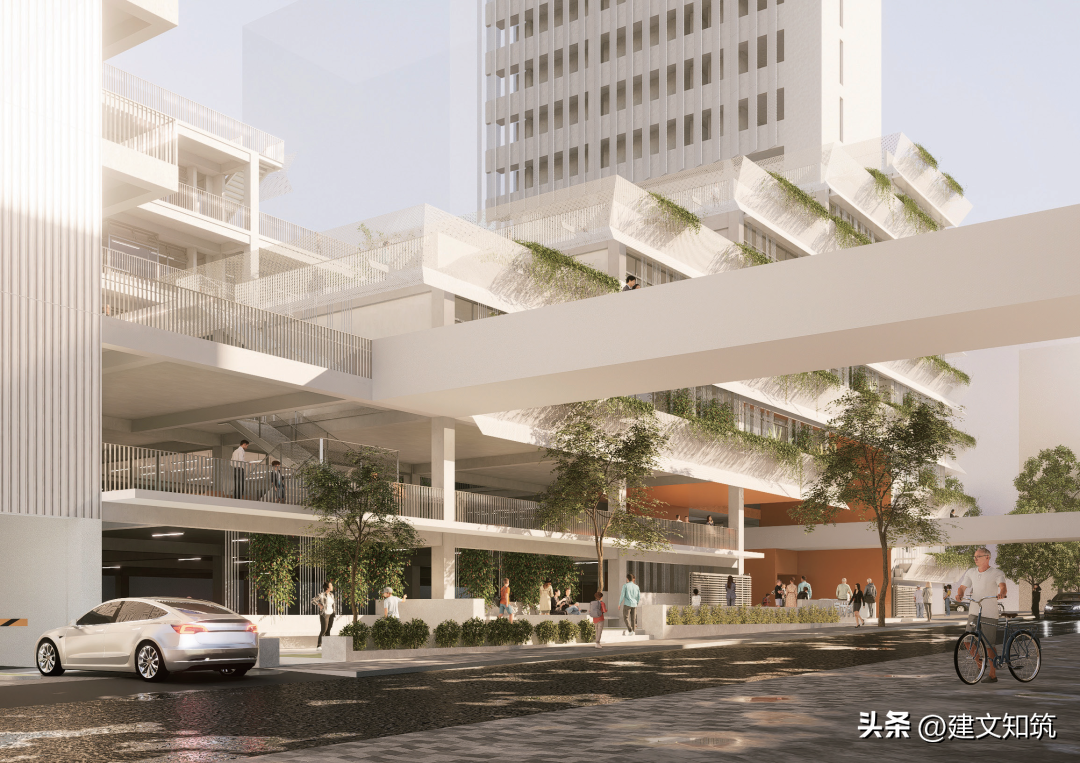 新优质学校创建心得体会_创建新优质学校的经验_创建新优质学校经验介绍