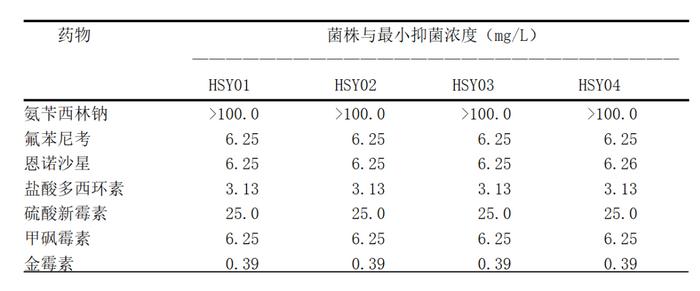 致富经黄颡鱼养殖技术_致富经黄颡鱼_致富经养大黄鱼