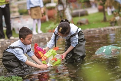 上海市幼儿园保教质量提升的思与行