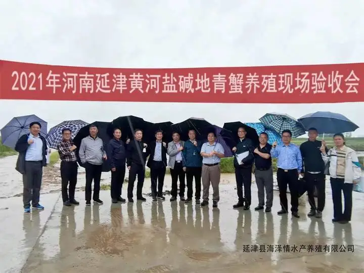 养殖视频致富经_致富养殖什么最赚钱_养殖致富小吃