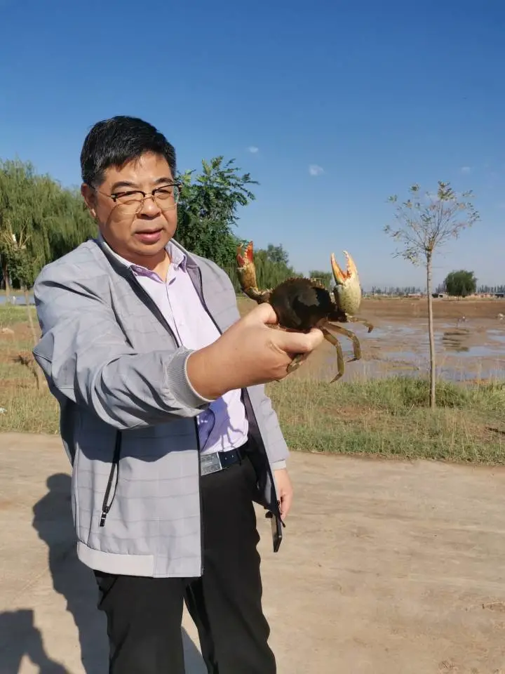 养殖视频致富经_致富养殖什么最赚钱_养殖致富小吃