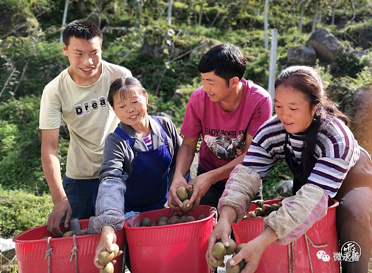 特种种植致富项目_农民致富种植项目_特种农民种植致富