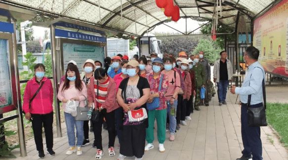 致富经特种养殖_农民致富种植项目_特种农民种植致富