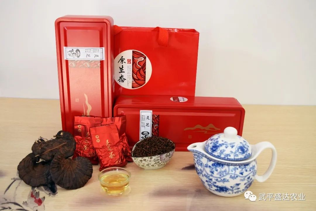 视频灵芝种植技术大全_灵芝种植技术视频_视频灵芝种植技术教程