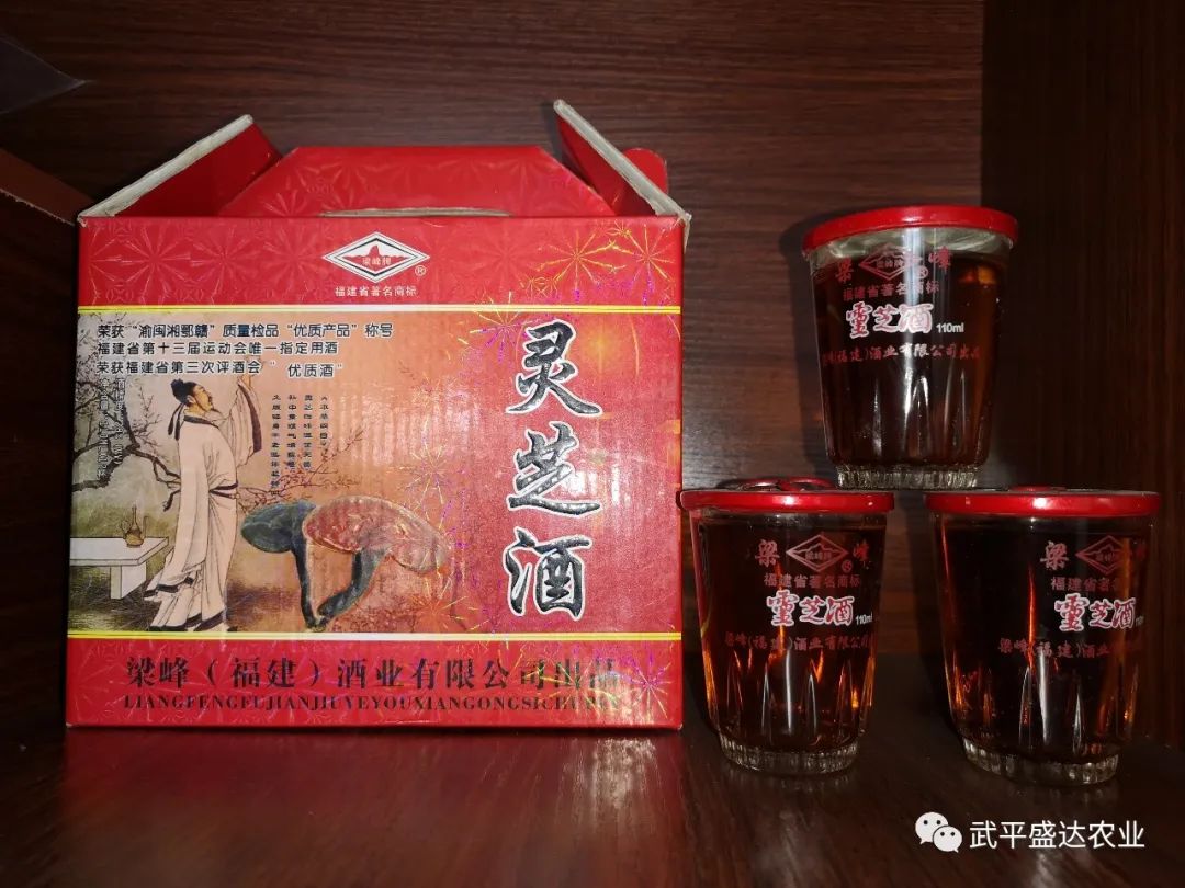 灵芝种植技术视频_视频灵芝种植技术教程_视频灵芝种植技术大全