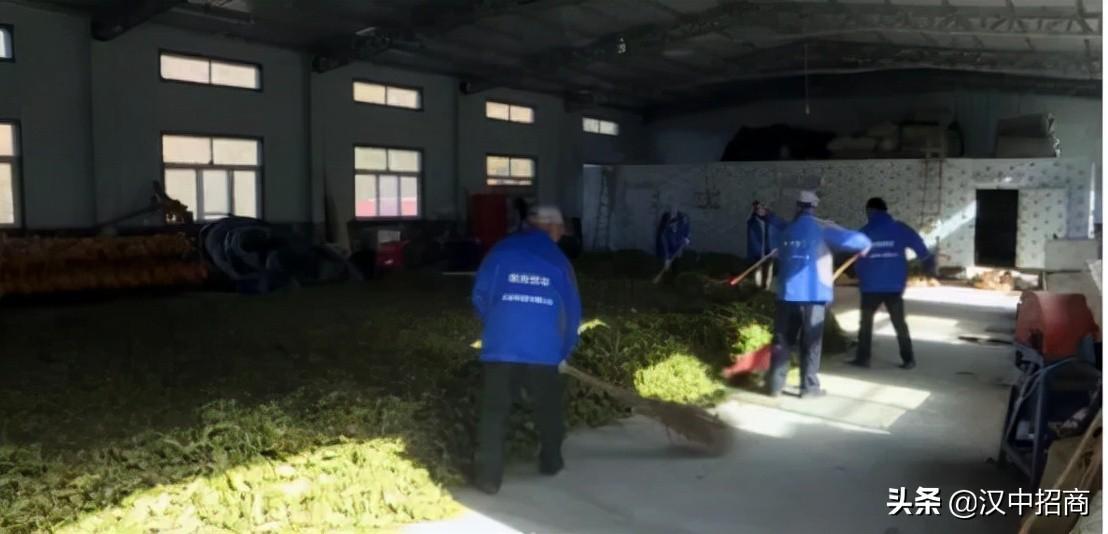致富经林麝养殖视频_致富经林麝的养殖_致富经林麝多少钱一只