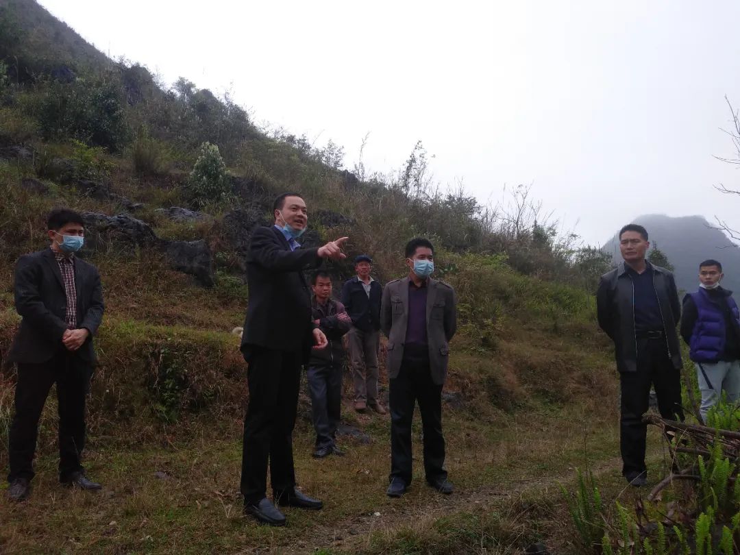 高山村致富养殖_高山养殖场_高山养猪场