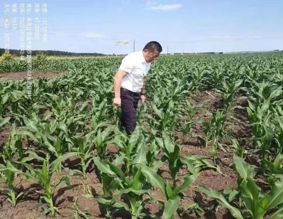 优质粮食工程经验交流材料_粮食产业发展典型经验材料_优质粮食工程典型经验交流